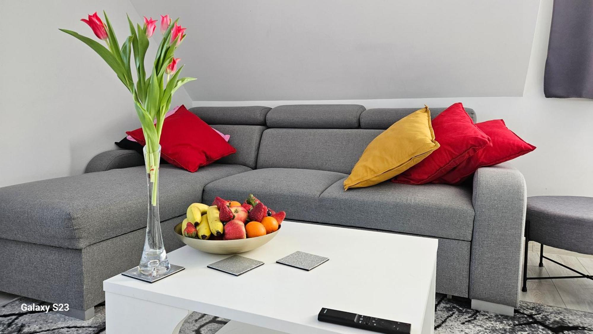 Wonderful Dream Apartament Z Widokiem Na Sniezke คาร์ปัตซ์ ภายนอก รูปภาพ